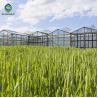 Buy cheap 120km/H Agricultural 9.6m Multi Span Glass Greenhouses from wholesalers