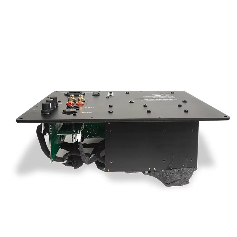 1000 Watts Class D Plate Power Amplifier Custom Mono Amplifier Module