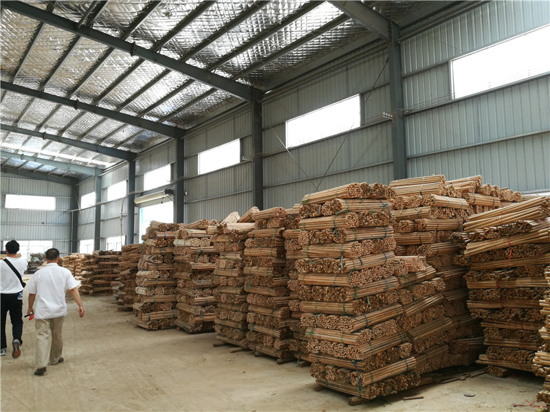 Floor Eucalyptus Wood 1200mm Wooden Mop Handles