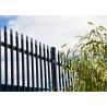 Buy cheap Pre - Galvanized Iron Spear Top Fencing Black Metal Fence Panels from wholesalers