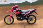 200cc 7000rpm Dual Purpose Motorbike 10kw Four Stroke Dirt Bike
