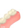 Buy cheap Ultra Durable Biocompatible Resin 3d Printing 3d Printer Dental Resin from wholesalers