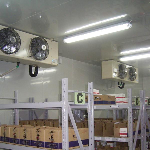 Buy cheap Vegetable Cold Storage Blast Cold Room Preservation Frozen 800ton 1000 KG Weight from wholesalers