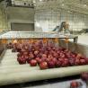 Buy cheap CE Certified Apple Juice Processing Line with HPP UHP Technology from wholesalers
