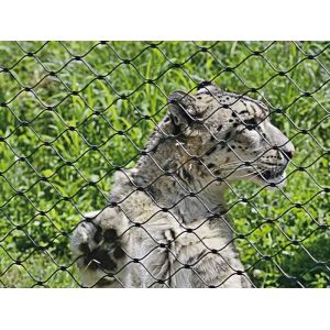 Buy cheap Zoo Mesh product