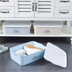 Living Room Bedroom Underwear Plastic Organizer Box With Lid