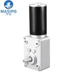 GM4058-31ZY High Torque 12 Volt Worm Gear Motor High Power For Pet Supplies And