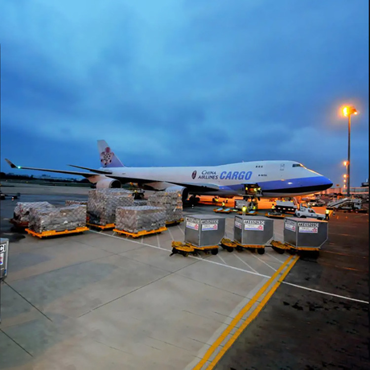 Rich Experienced Freight Transportation Services From China To Indonesia