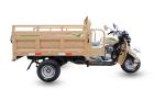 Automatic Electric Cargo Tricycle 3 Wheel Motorcycle 200cc Unique Carriage
