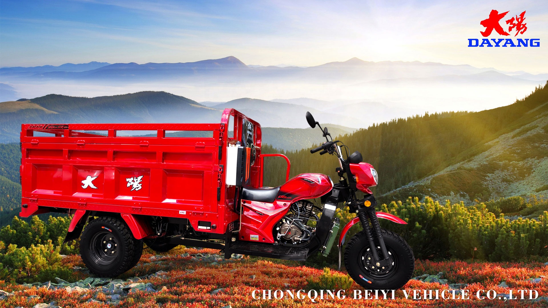 Motorized Cargo Tricycle with Luxury Carriage and Maximum Speed ≥70Km/h Tyre 5.0-12