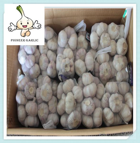 Buy cheap 2016 crop farmer lowest garlic price in China The Best Healthy Product Garlic from wholesalers