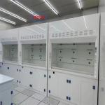 Eco-Friendly Chemical Fume Hood PP Fume Hoods with Low Noise for 220V Voltage
