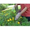 Buy cheap Clear Food Handling 1.0g/Piece Disposable Hdpe Gloves from wholesalers