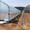 Buy cheap Commercial Plastic Film Galvanized Transparent Tunnel Plastic Greenhouse from wholesalers