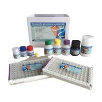 Buy cheap Food Specific IgG Antibody Test Kit ELISA 12 Tests Rapid IgG IgM product