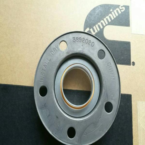 Buy cheap Cummins M11 Qsm11 ISM11 Oil Seal 3892020 3803488 3803728 3804304 from wholesalers