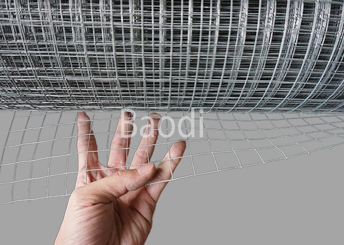 Iron Galvanized W2m Pvc Coated Welded Wire Mesh 14 Gauge