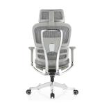 Guangdong Office Furniture Full Mesh Ergonomic Chair with Adjustable Height and