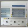 Buy cheap Anti Corrosion Chemical Lab Hood Alkali Resistant Durable Grey Color from wholesalers