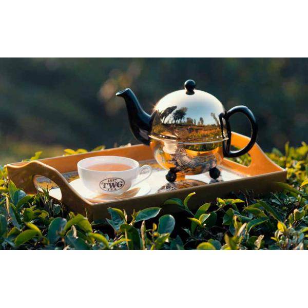 Py Ramid Triangle Tea Bag Packing Machine Drip Coffee Bag Automatic