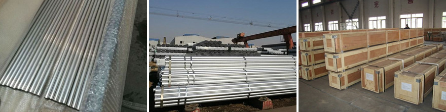 ASTM A312 A213 A269 A789 Seamless Stainless Steel Tubing
