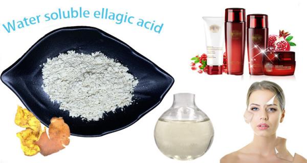 Buy cheap Pomegranate Water Soluble Powder Ellagic Acid 40% Skin Whitening Medicine Grade from wholesalers