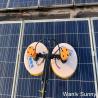 Buy cheap Building Industry Compatible Double Head Retractable Photovoltaic Panels Cleaning Brush from wholesalers
