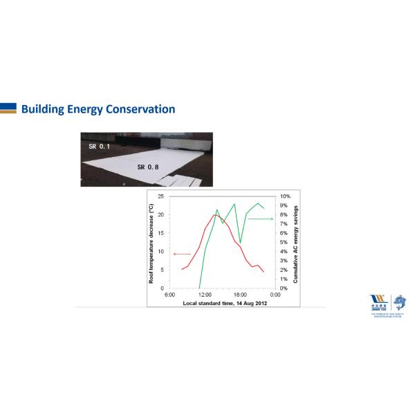 W300 High Elastic Polymer Acrylic Waterproofing Coating