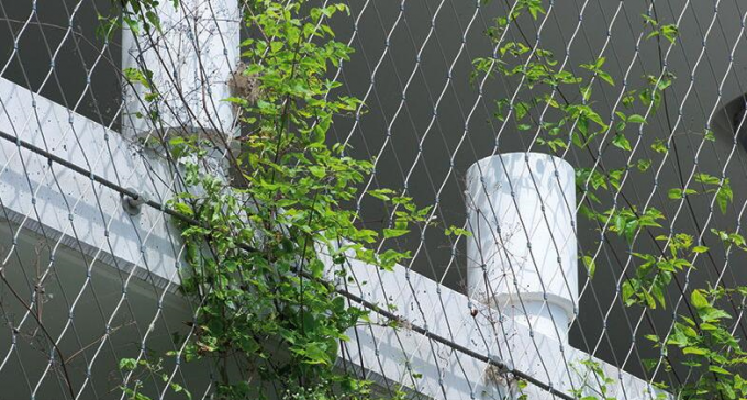 Flexible Inox Wire Rope Plant Trellis , Plant Climbing Green Wall Mesh