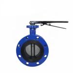 BS 4504 Stainless Steel Double Flange Concentric Butterfly Valve Standard Port