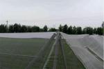 250 Meters 100% HDPE Insect Mesh Netting For Vegetable Greenhouse Agricultural
