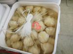 White Healthy Warm Stomach Sushi Pickled Ginger