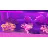 Buy cheap Indoor CXB 3590 Bridgelux Full Spectrum Led Cob Chip Grow Light from wholesalers
