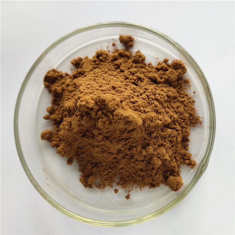 Gmp Sarcandra Glabra Extract For Antirheumatic