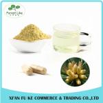 Pure Natural Meadow Pine Extract Powder 4:1 - 20:1