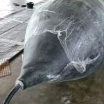 Slipway Balloon Docking Rubber Ship Launching Marine Airbag For Boat