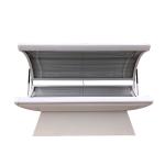 GY W4L Medical LED Red Light Therapy Beds For Body Slim Pain Relief