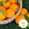 Buy cheap Cas 8008 57 9 Wholesale Price Aromatherapy Peeling Sweet Orange Essential Oil from wholesalers