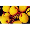 Buy cheap EVA Oval Fishing Net Floats Corrosion Resistance Tear Resistance from wholesalers