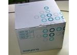 45K RPM dental Marathon N8 electric polishing Micro Motor Handpiece