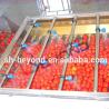 Buy cheap Stainless Steel Fruit Sorting Machine , Energy Saving Fruit Grading Machine from wholesalers