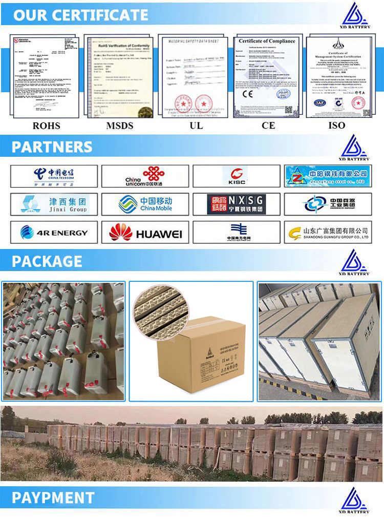 9000 Cycle Life Lithium Iron Phosphate Battery 12v 200ah Smart Bms Lifepo4 Battery Pack