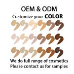 30ml Waterproof Liquid Foundation Full Cover Luxury Oil Free Makeup Private