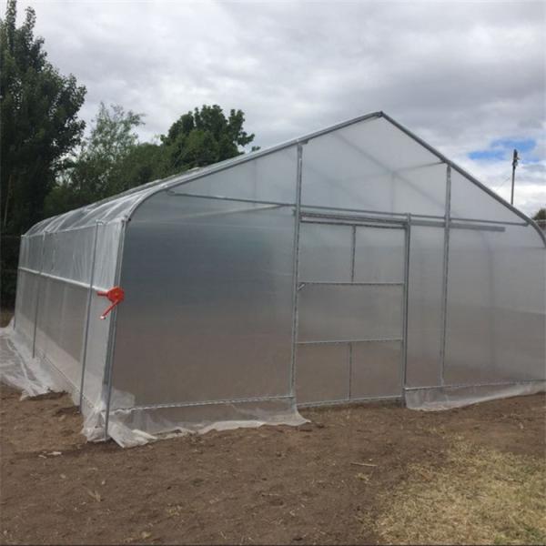 Buy cheap Plastic Film High Tunnel Single Span Greenhouse Steel Frame 9x30m from wholesalers