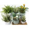 Buy cheap Greenery Fake Faux Potted Floor Plants Used In Windowsill Bookshelf from wholesalers
