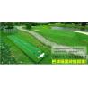 Buy cheap Artificial golf greens / putting practice from wholesalers