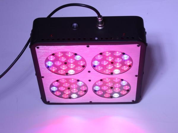 Buy cheap Apollo series 3W*60pcs led chips panel grow light Red 630nm Blue 460nm led growing from wholesalers