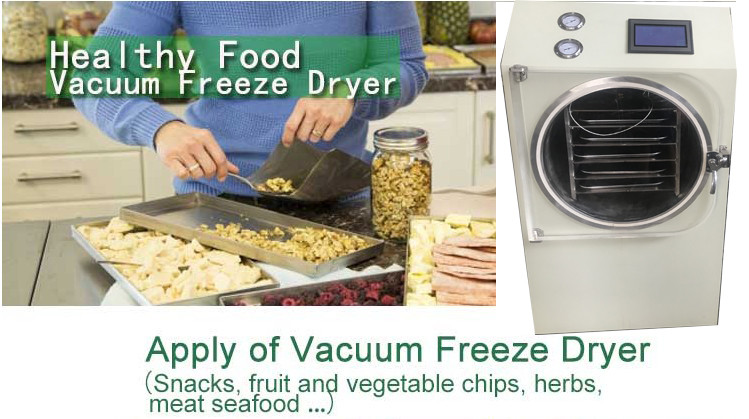 High Efficiency Kitchen Freeze Dry Machine Great Power Easy Operation