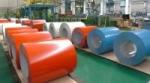 Premium Coated Aluminum Coil Prepainted Aluminum Coil for Signage and Cladding
