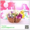 Buy cheap Wicker flower basket manufacturer factory with handle customised size from wholesalers